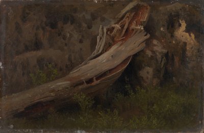 腐敗したトランクの研究 作： August Cappelen